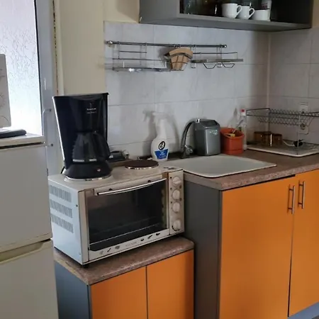 алекс Guest house Sinemoretz