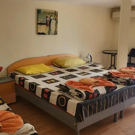 Guest house алекс Sinemoretz